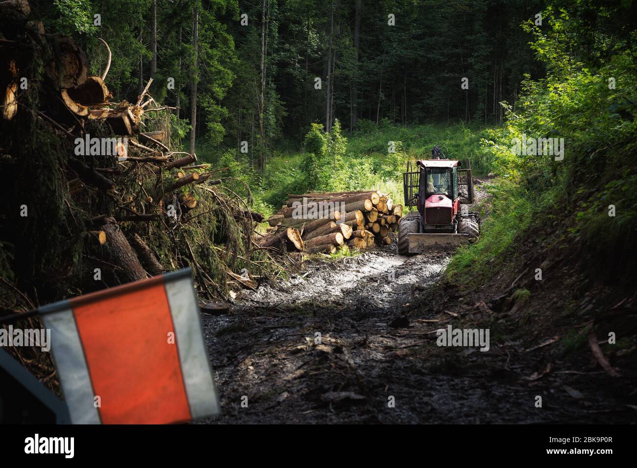 Forest work in the Berchtesgadener Land Stock Photo