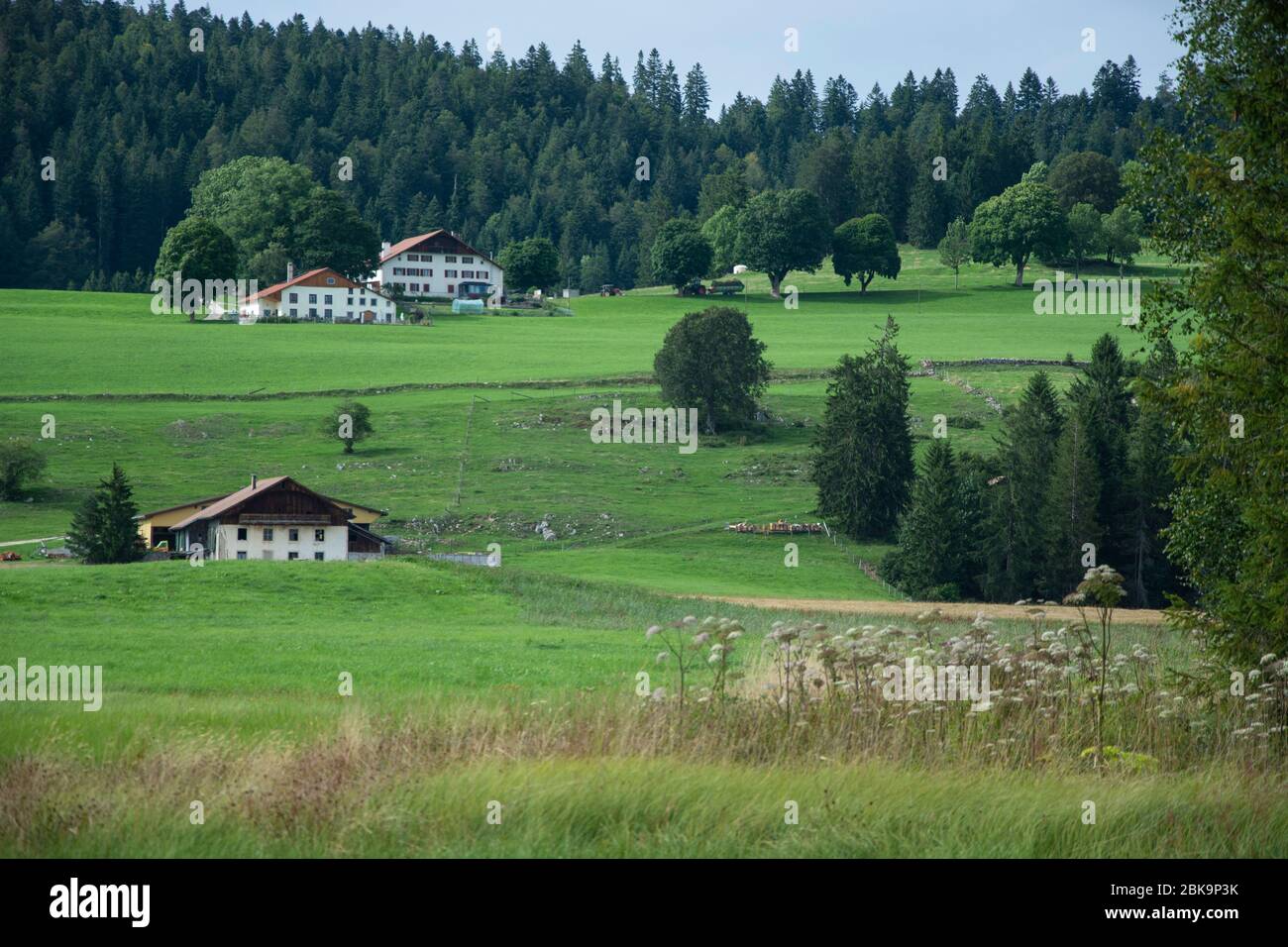 Blick von einem geschützten Moor auf traditionelle Bauernhäuser in Les Ponts-de-Martel im Neuenburger Jura, Schweiz Stock Photo