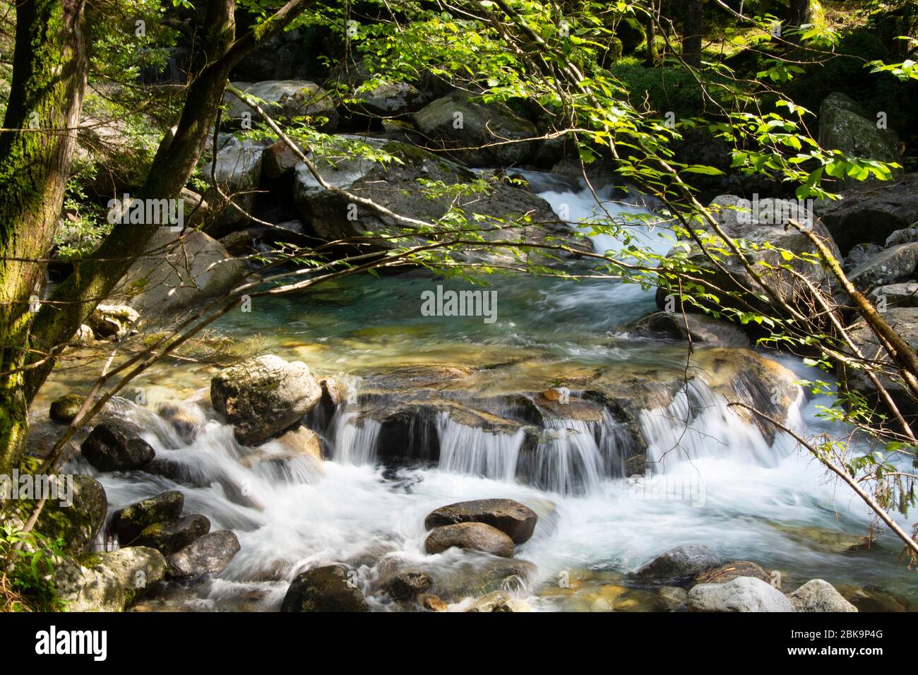 Malerische Kaskade im Val Cama, Misox, Südschweiz Stock Photo