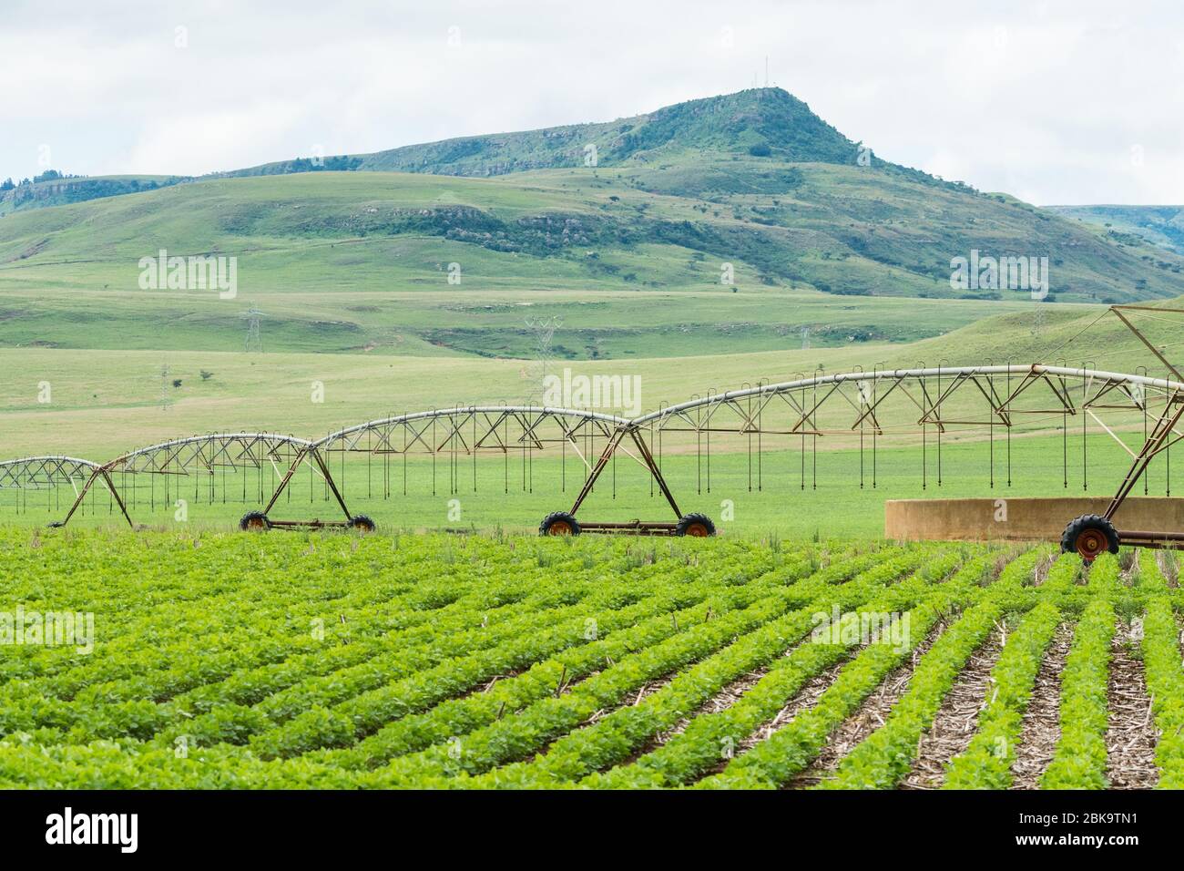 centre pivot irrigation sprinkler system standing positioned over a crop on a farm in Kwazulu Natal, South Africa Stock Photo