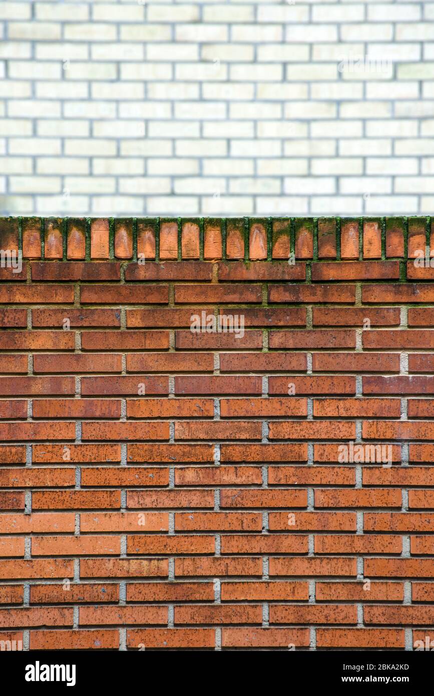 two brick walls, copy space Stock Photo