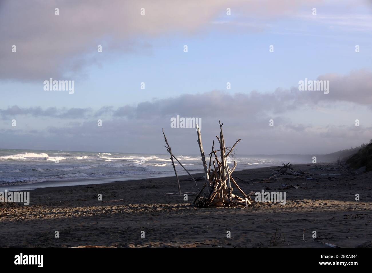 Driftwood. Driftwood on moody Waikuku surf Beach, Pegasus Bay, Canterbury, Eastern Coast, South Island, New Zealand. No people. Stock Photo