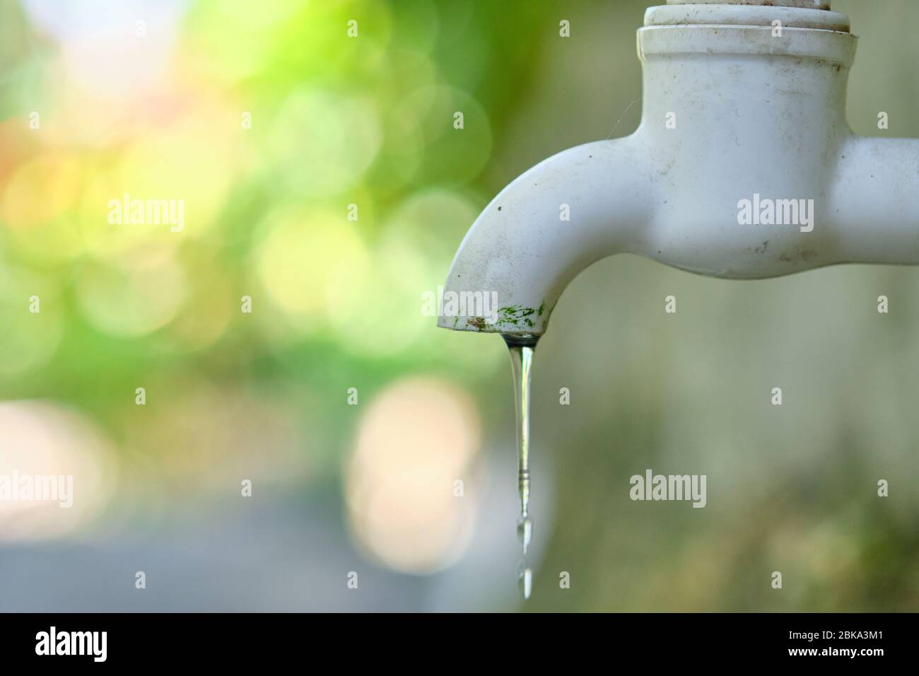 Dripping faucet in white close-up against the background of a green garden Stock Photo