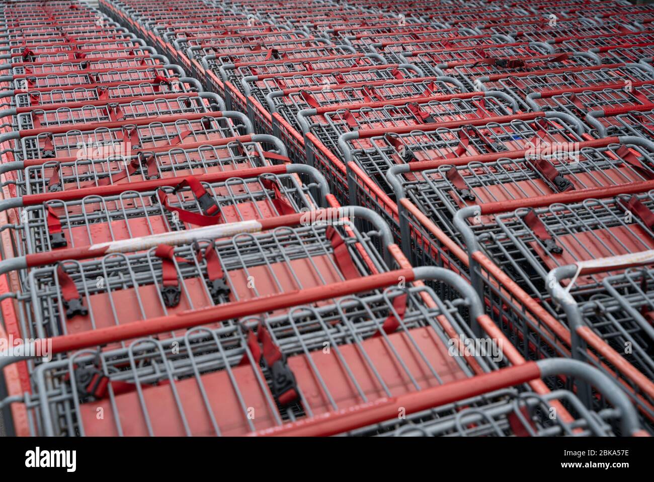 Costco Shopping Trolleys Stock Photo Alamy