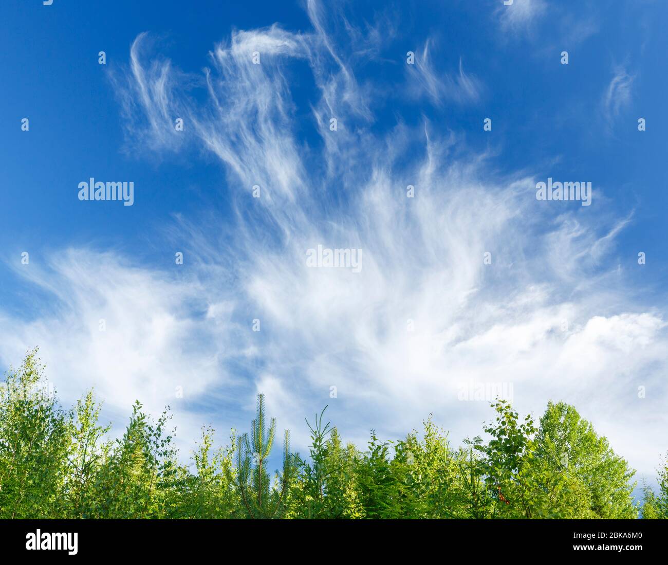 Blue sky white clouds view hi-res stock photography and images - Alamy