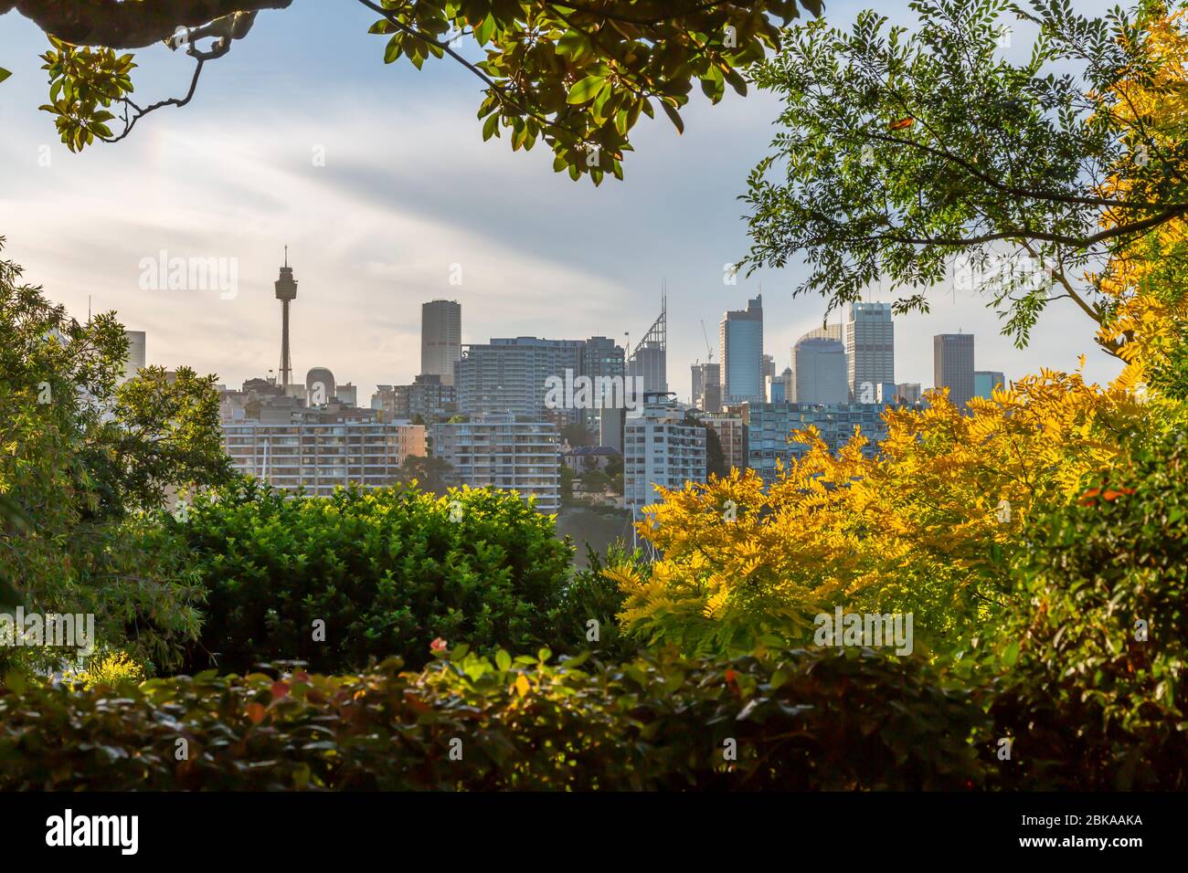 View of city skyline from Blackburn Cove, Sydney, New South Wales, New South Wales, Australia Stock Photo