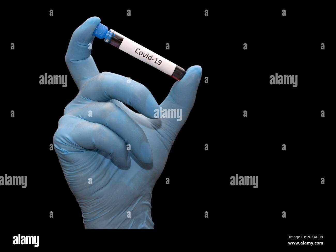 Hand in glove holding a test tube with the inscription covid-19 isolated on a black background. Sample with testing blood. Stock Photo