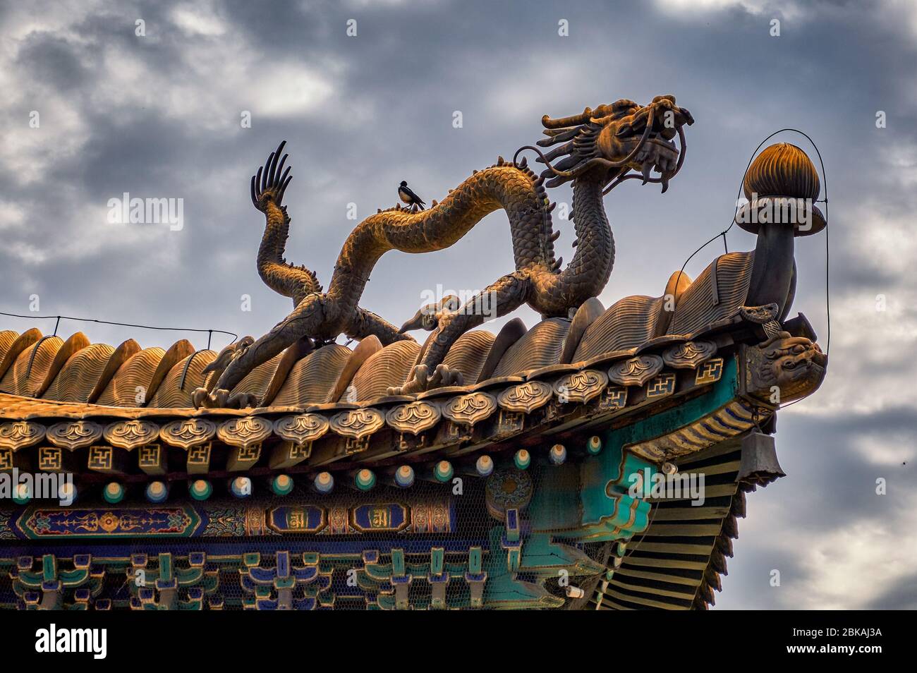 Gold-plated dragon decorating the roof of Temple of Xumi Fushou, one of the Eight Outer Temples of Chengde in Chengde Mountain Resort, summer residenc Stock Photo