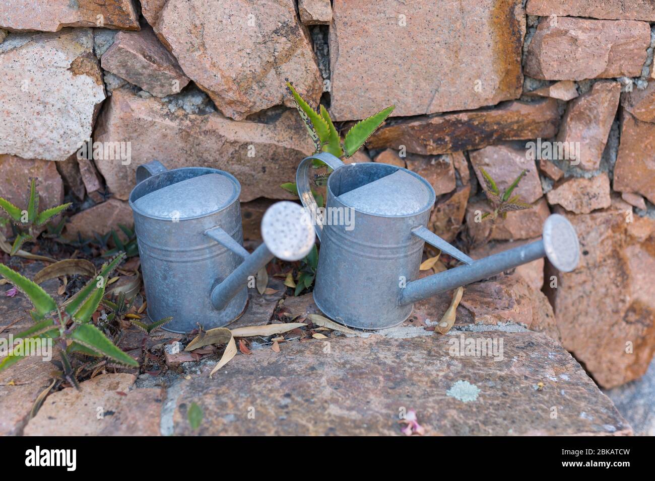 Vintage Tin Watering Can near a Wall Made of Red Stones. Stock Photo