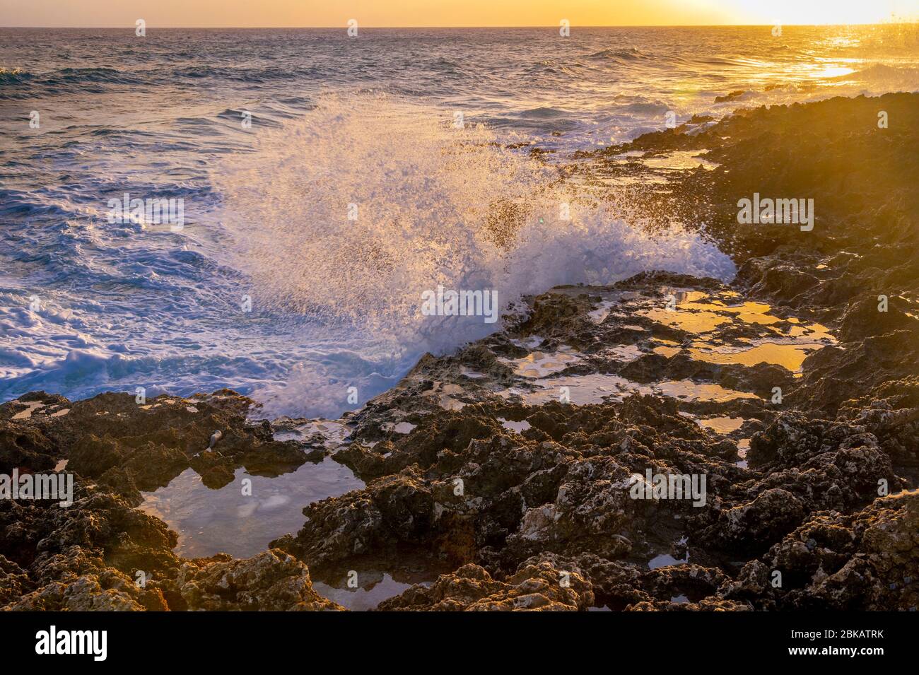 Large waves crashing against rocks at sunset, Grand Cayman Blowholes Stock Photo