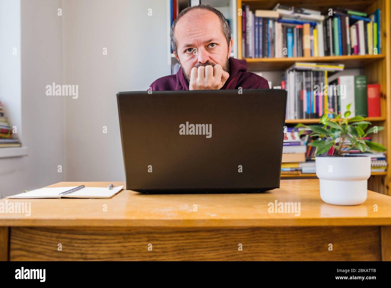 Man working from home office. Adult bearded man concentrated, working online from home on computer laptop behind vintage desk with flower in vase, boo Stock Photo