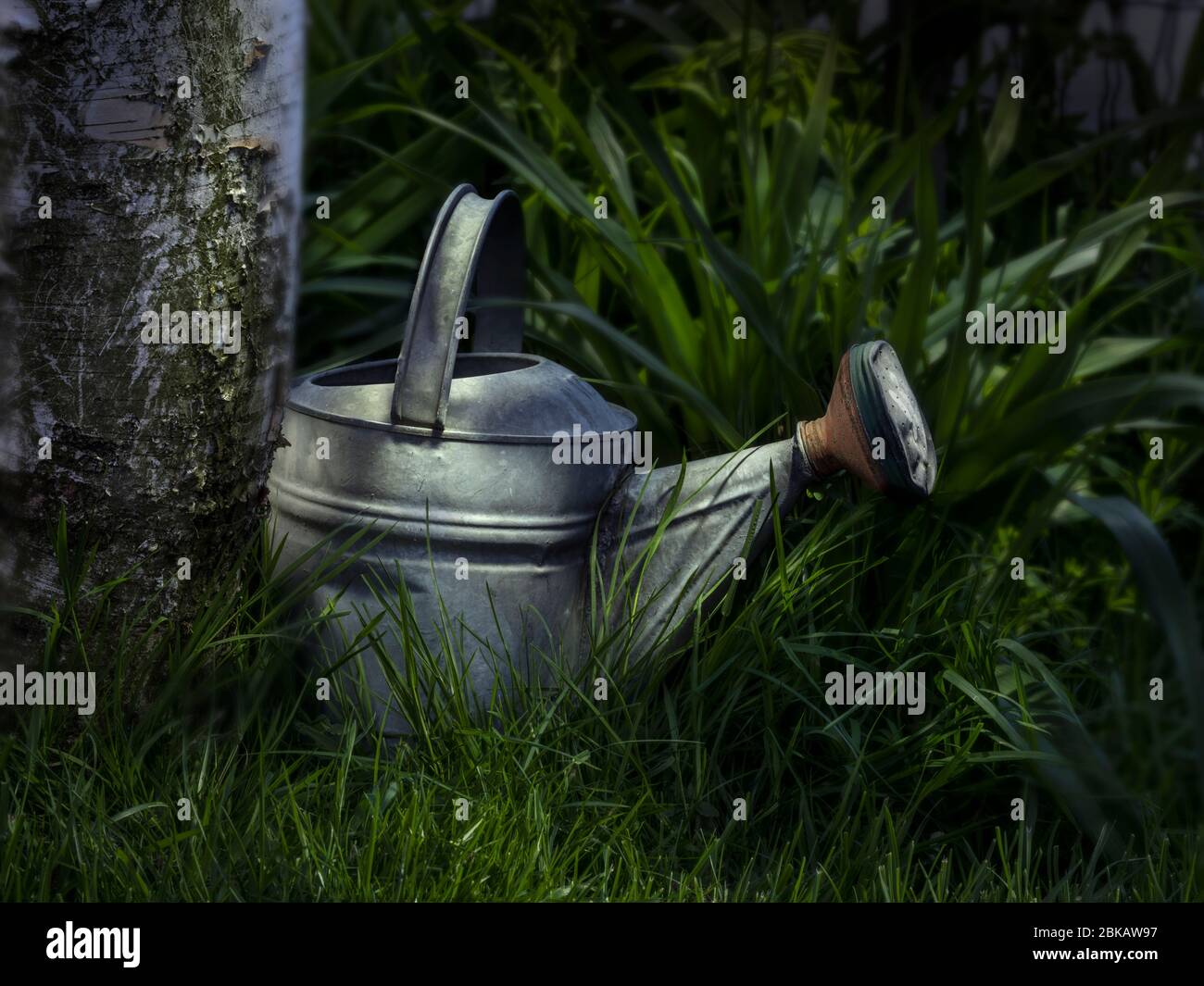 Antique watering can in garden at night Stock Photo