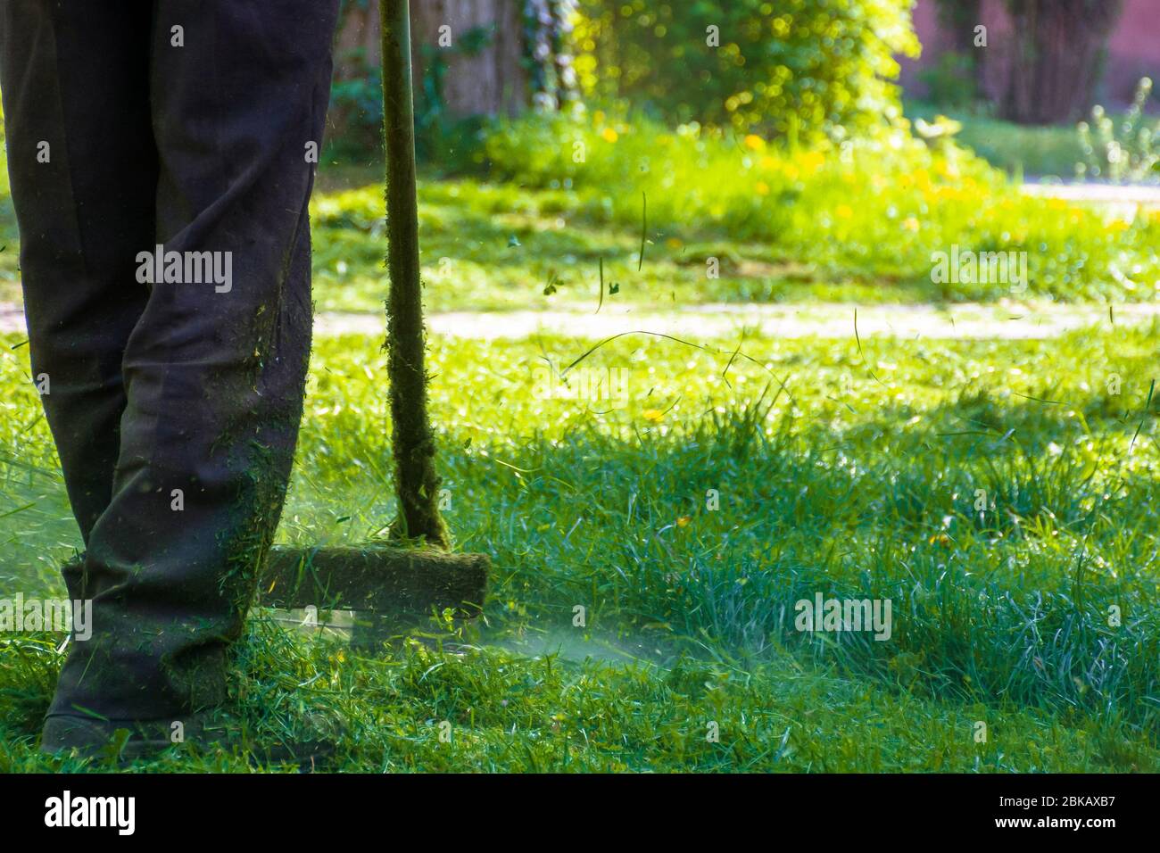 lawn care maintenance. professional grass cutting in the yard Stock Photo