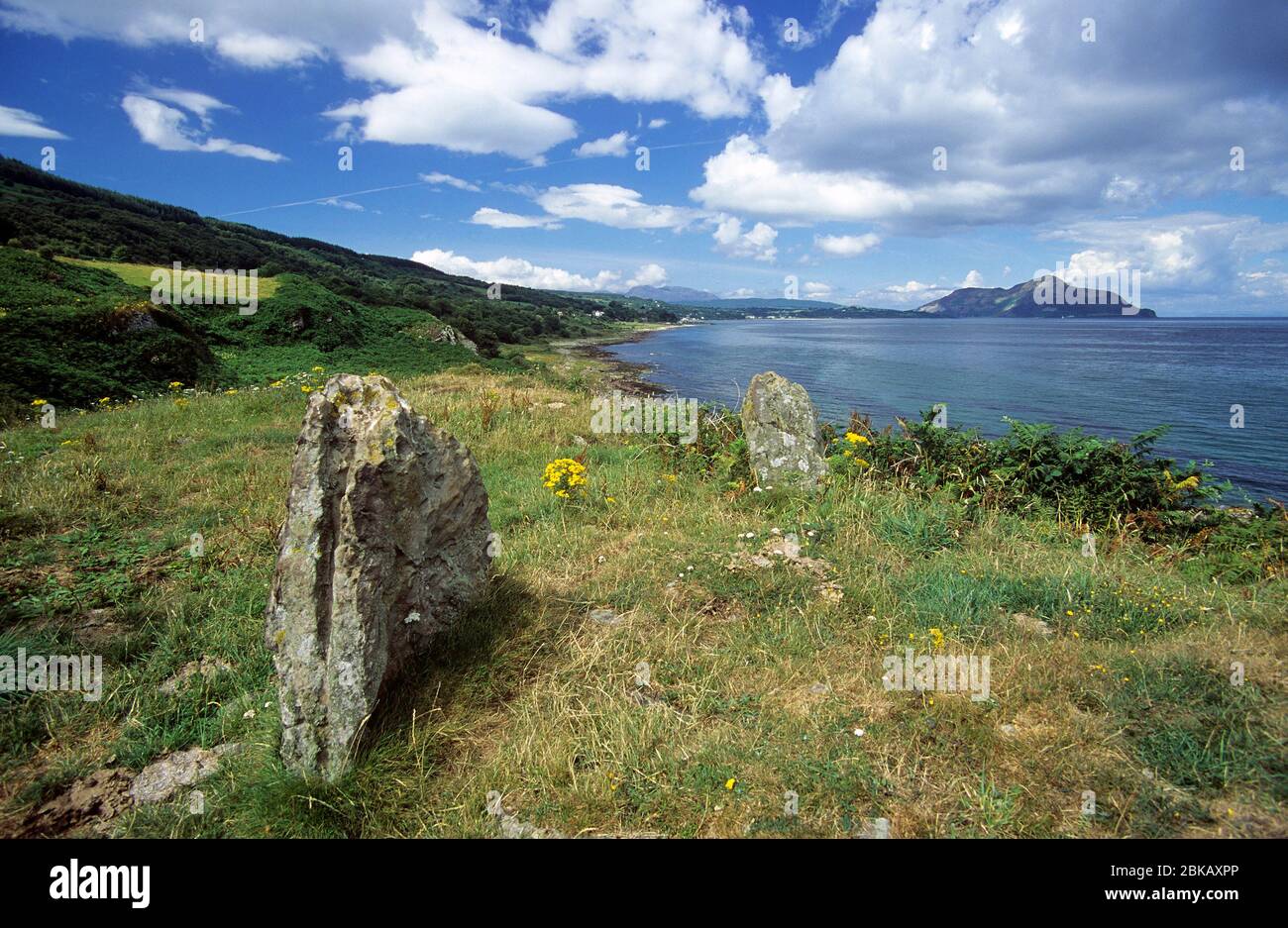 kingscross shoreline, whiting bay Stock Photo