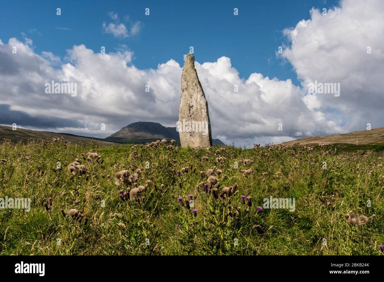 the druid stone auchencar Stock Photo