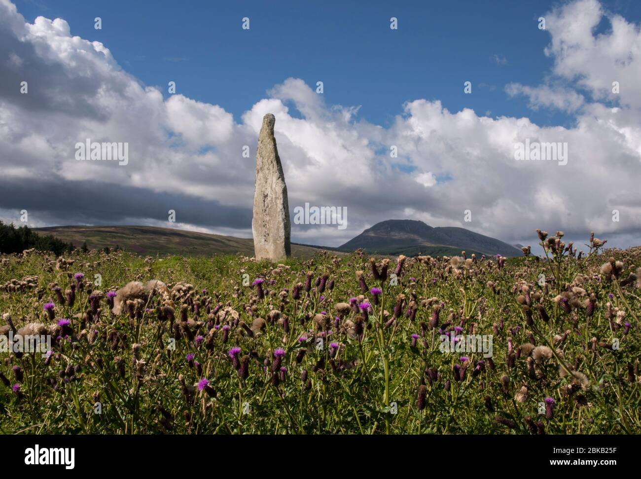 the druid stone auchencar Stock Photo