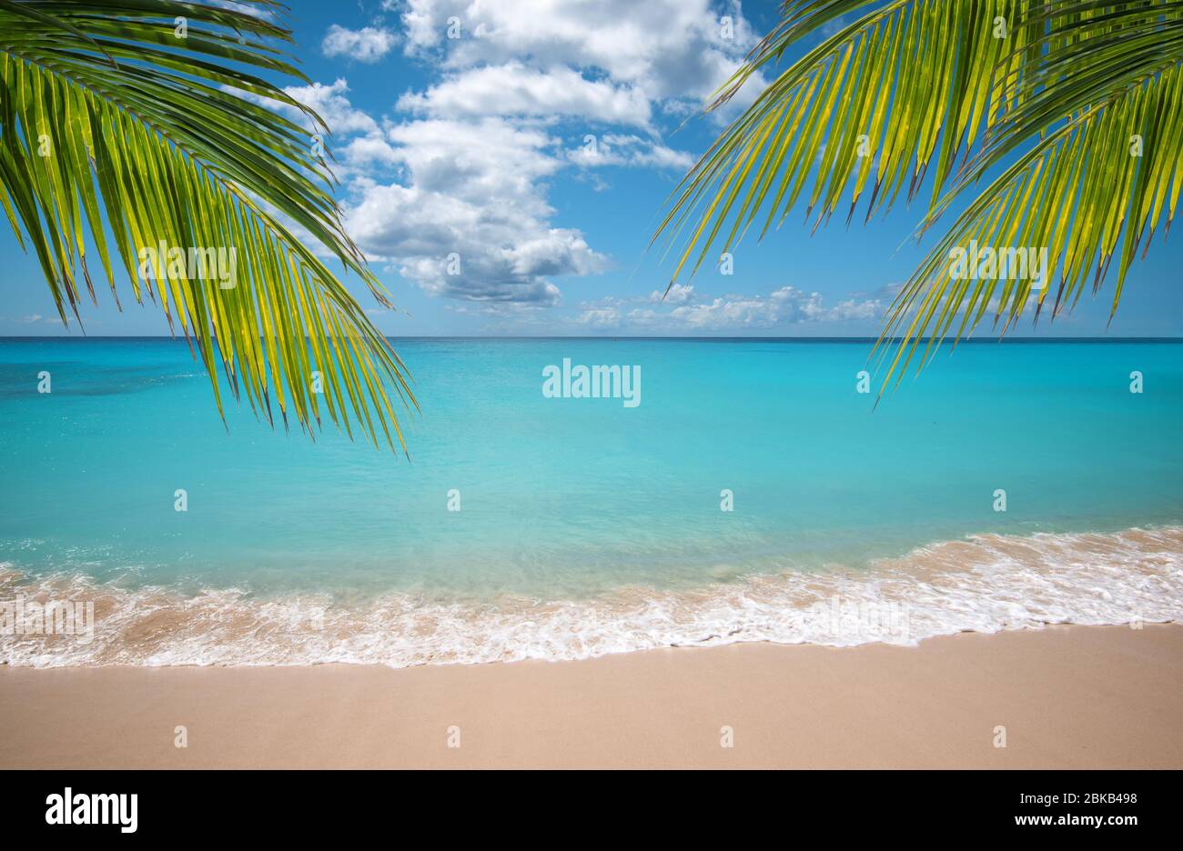 Tropical vacation paradise with white sandy beaches and swaying palm trees. Stock Photo