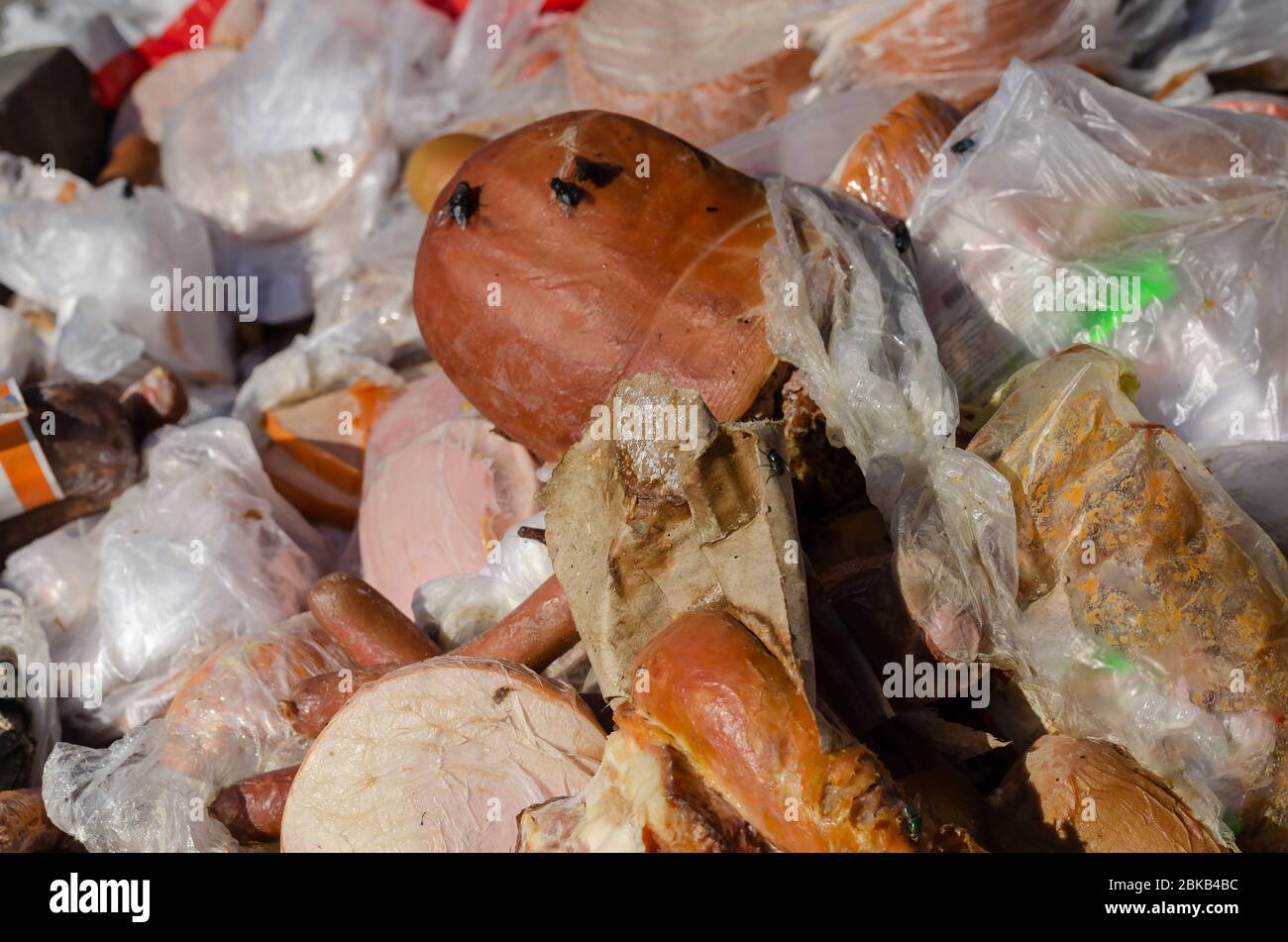 Spoiled Meat High Resolution Stock Photography and Images - Alamy