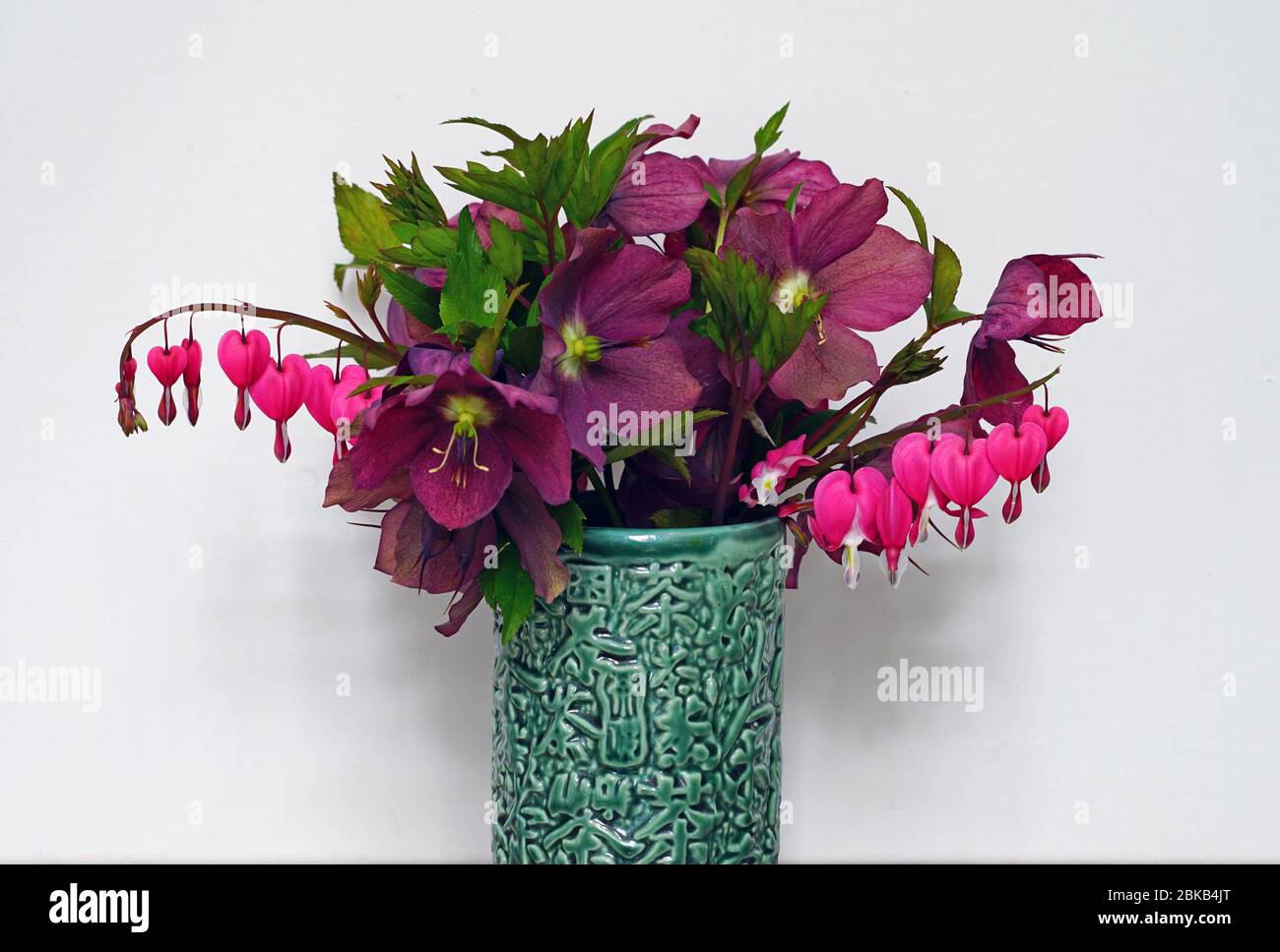 Bouquet of purple hellebore flowers and pink bleeding hearts in a bud