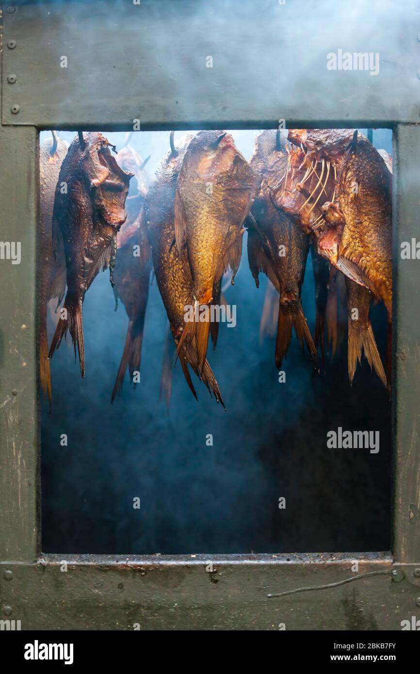 still life of smoked fish Stock Photo Alamy