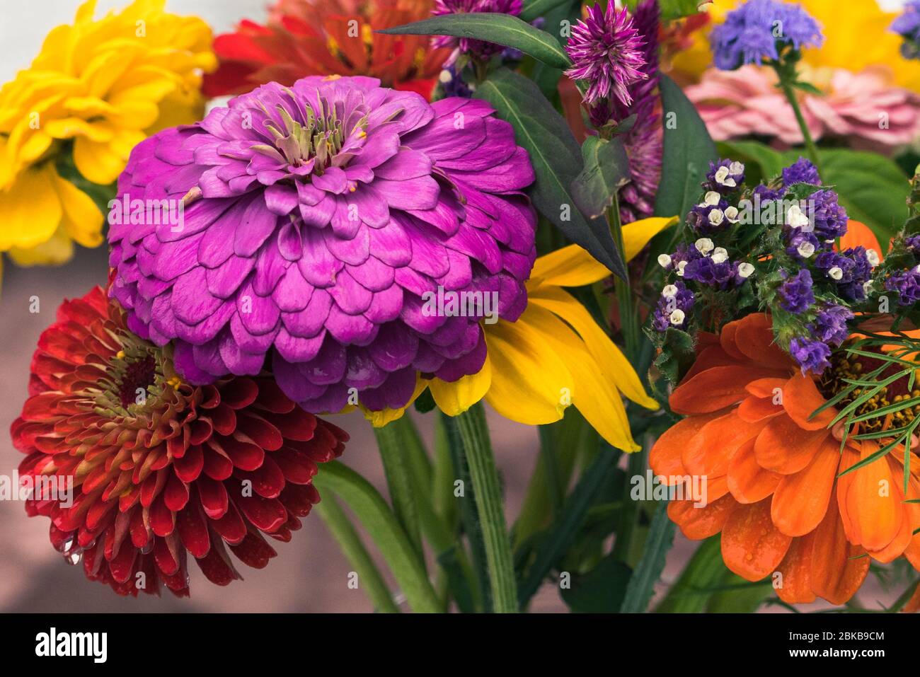 Spring and Its Flowers Stock Photo