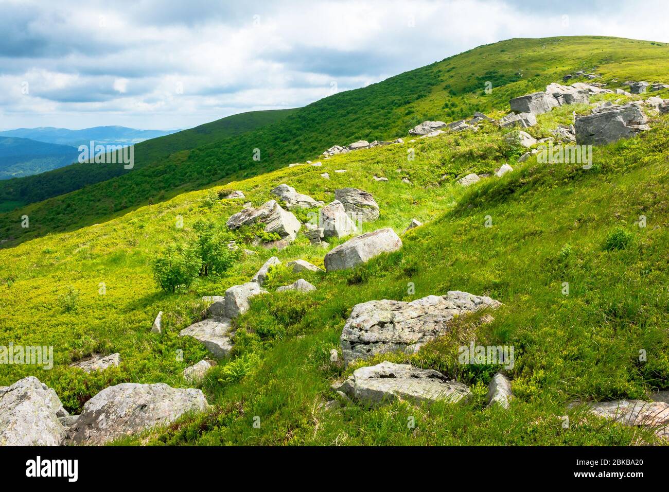 white rocks on the edge of alpine meadow. fresh green grassy slopes of mountain landscape in summer. distant ridges rolling in to the horizon. sunny w Stock Photo