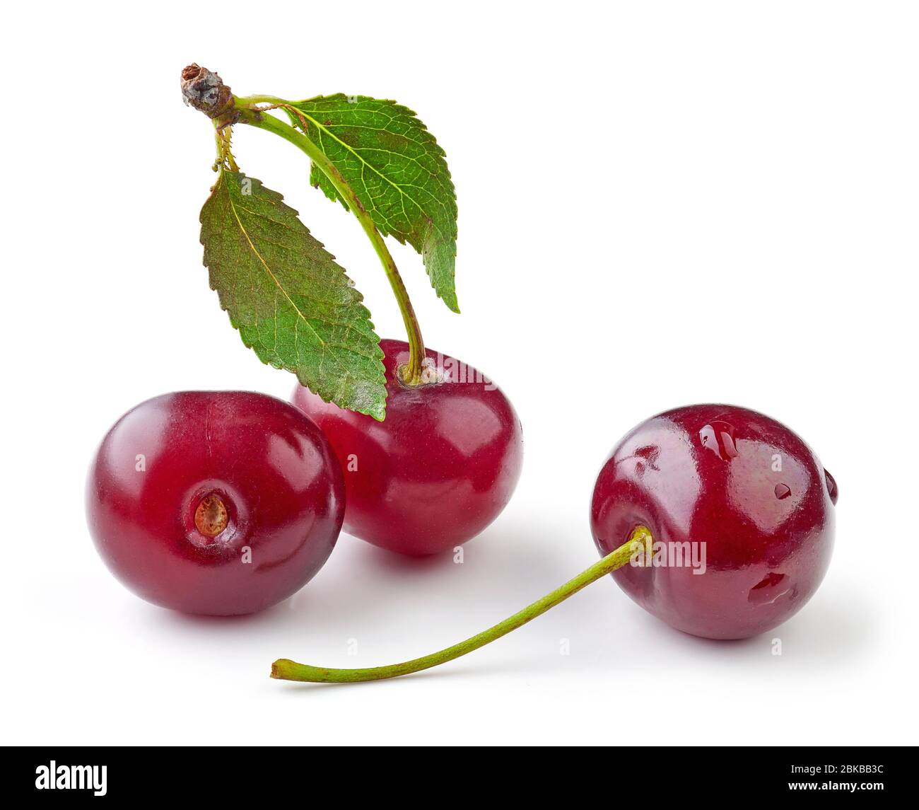 fresh sour cherries isolated on white background Stock Photo Alamy