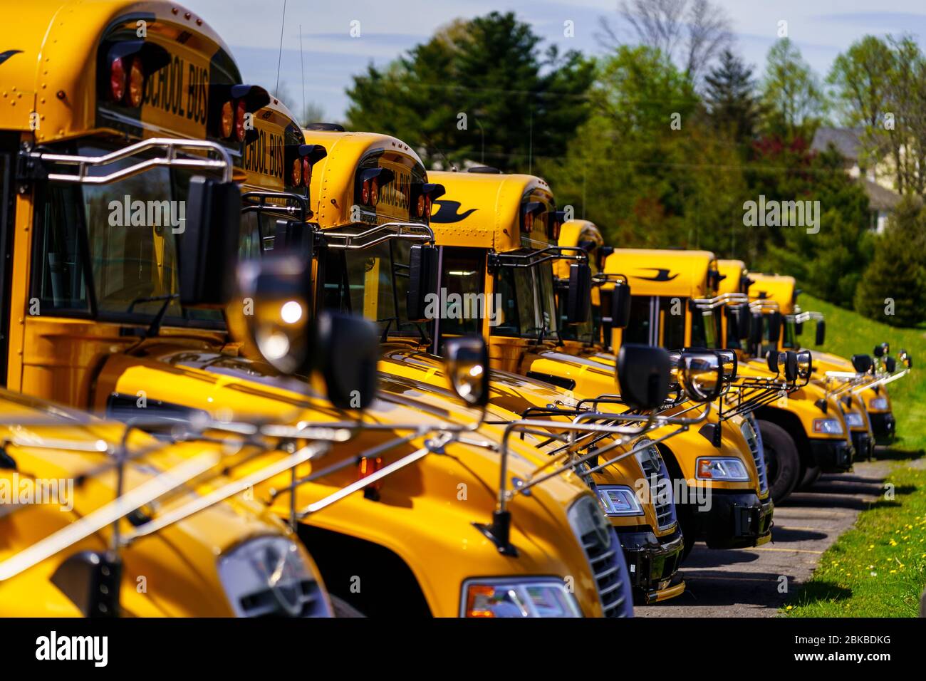 Mohnton, PA / USA May 2, 2020 A line of parked school buses in a