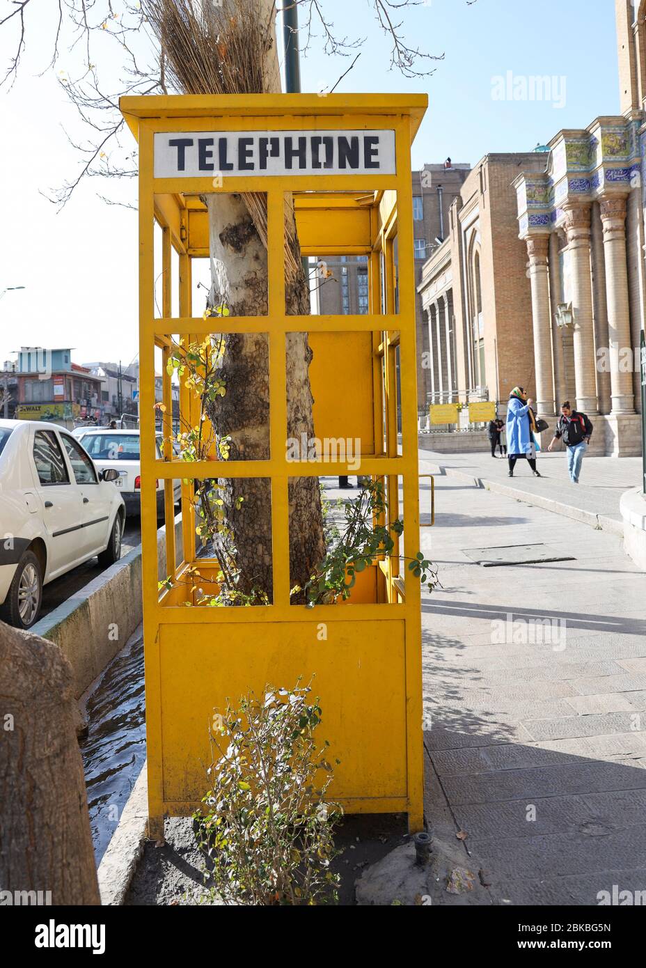 Tree growing inside old yellow telephone booth outside Sardar Bagh