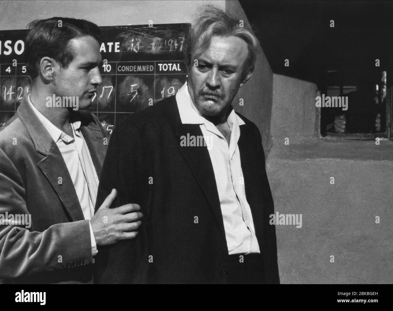 Paul Lee High Resolution Stock Photography And Images Alamy