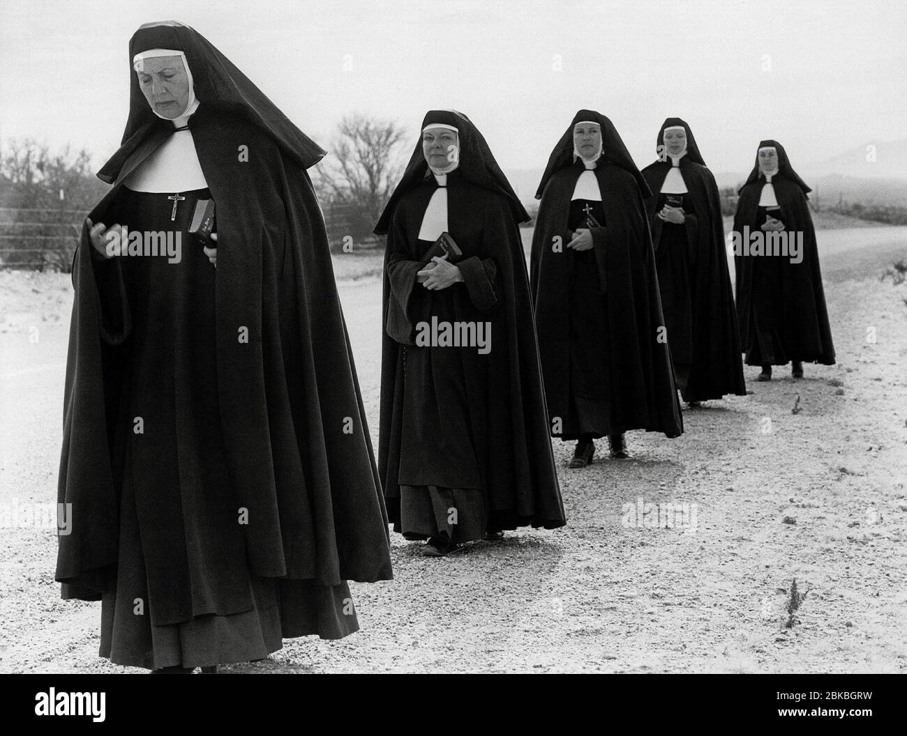 Director Lilies Of The Field High Resolution Stock Photography and