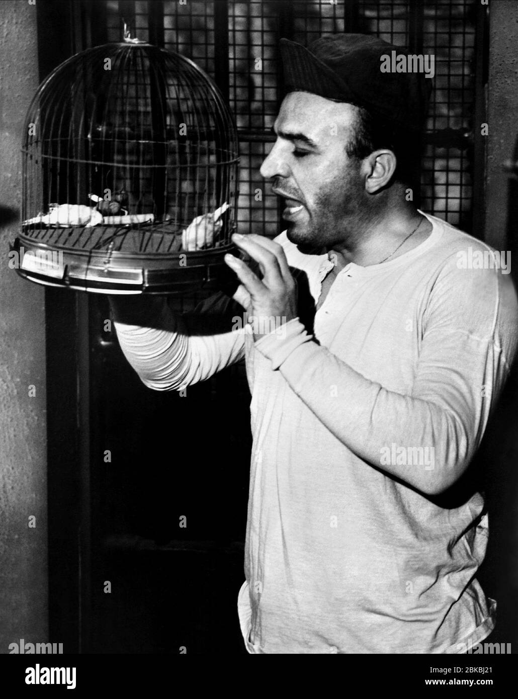 Telly Savalas With Hair - Telly Savalas Wikipedia / A reason to live, a