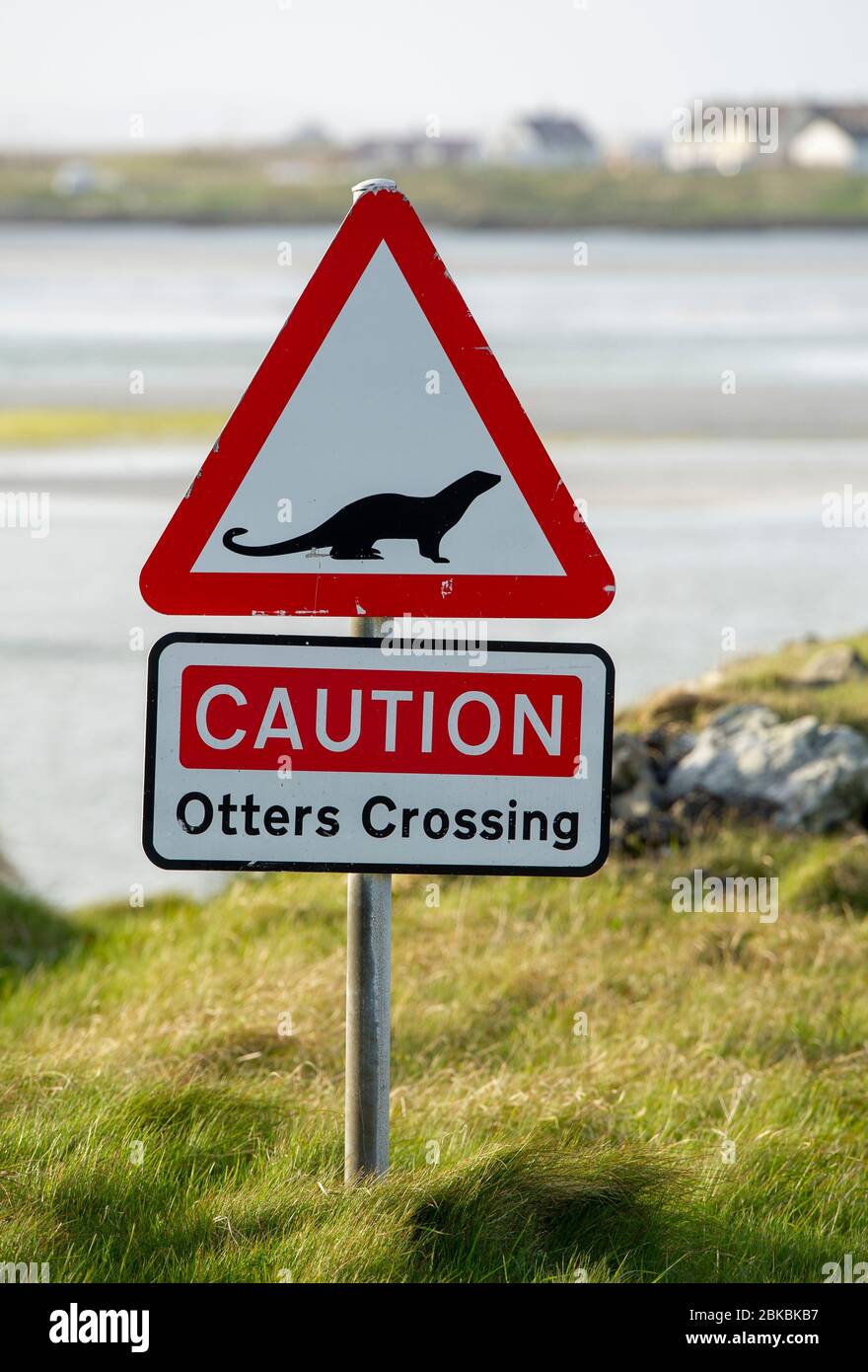 Caution Otters crossing road sign, Uist Outer Hebrides, Scotland. Stock Photo