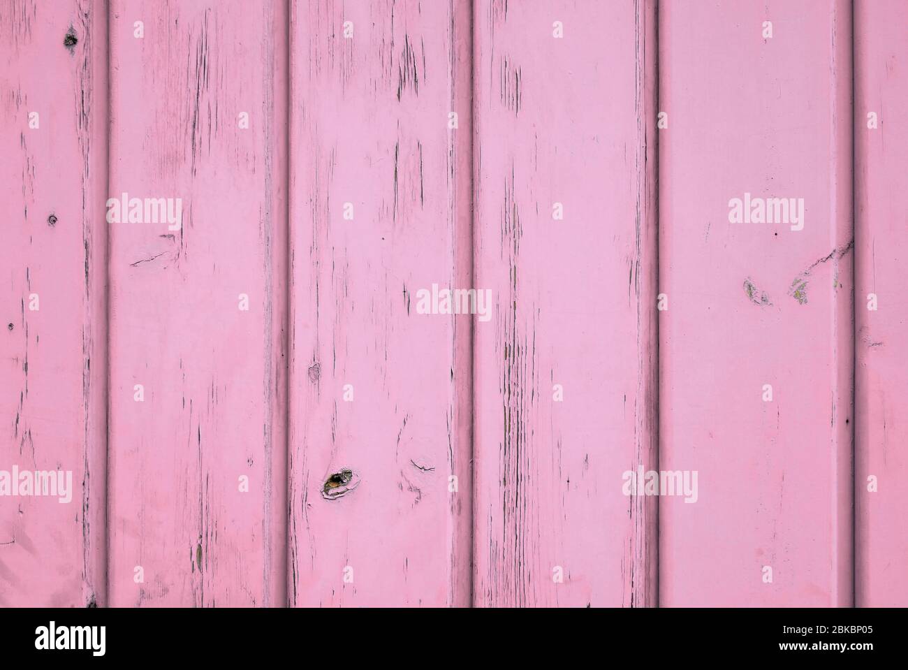 Soft pastel background of rose colour natural wood with vertical planks. Stock Photo