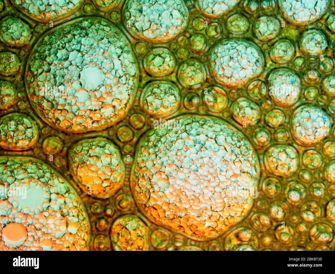 Oil and soap bubbles in water Stock Photo