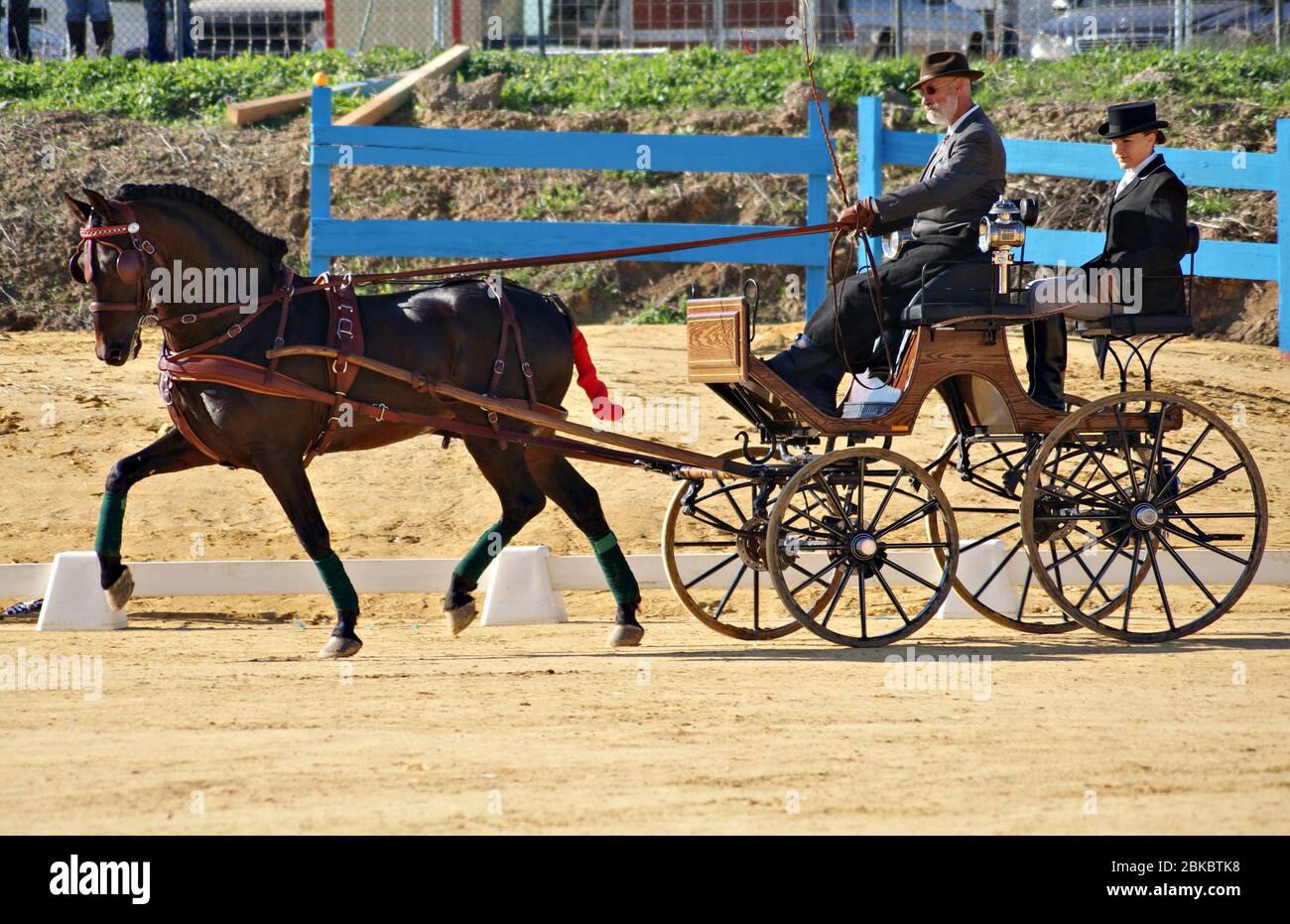Single horse carriage competition in SICAB 2011 with a spanish horse Stock Photo