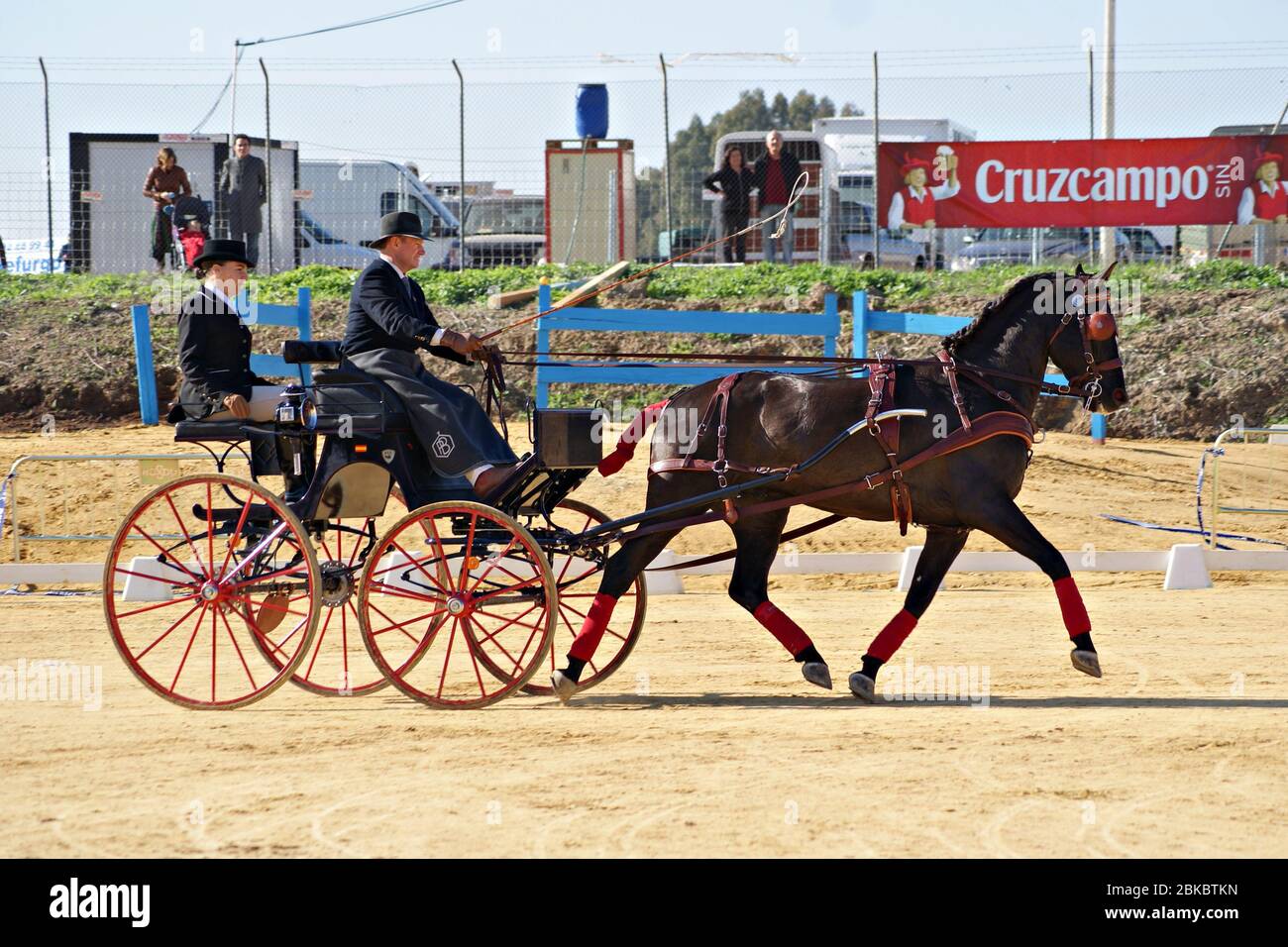 Single horse carriage competition in SICAB 2011 with a spanish horse Stock Photo