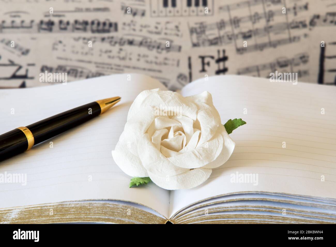 White paper rose on note book with black and gold pen against musical note  wallpaper Stock Photo - Alamy