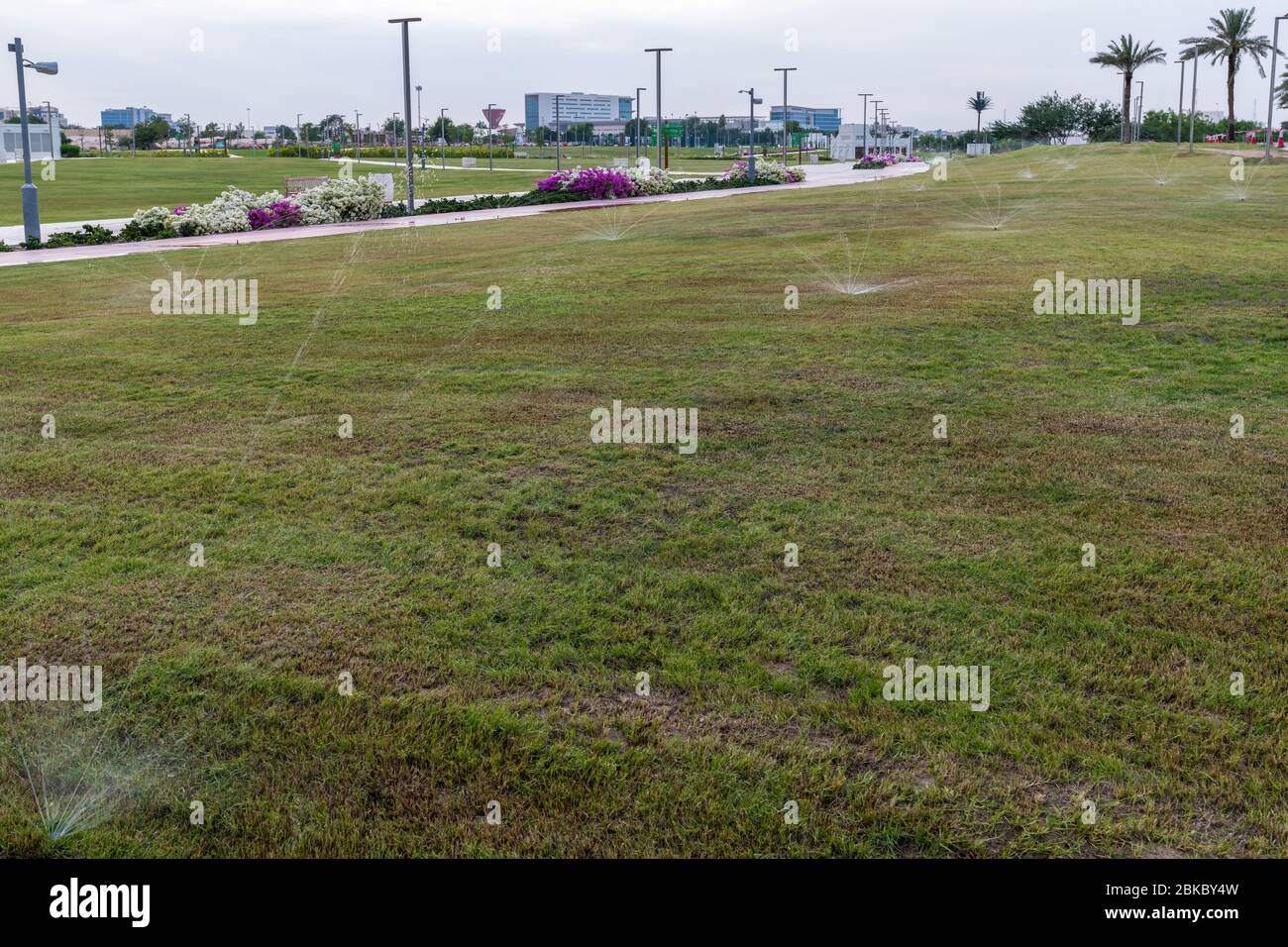 Outdoor lawn with watering system in Doha, Qatar Stock Photo
