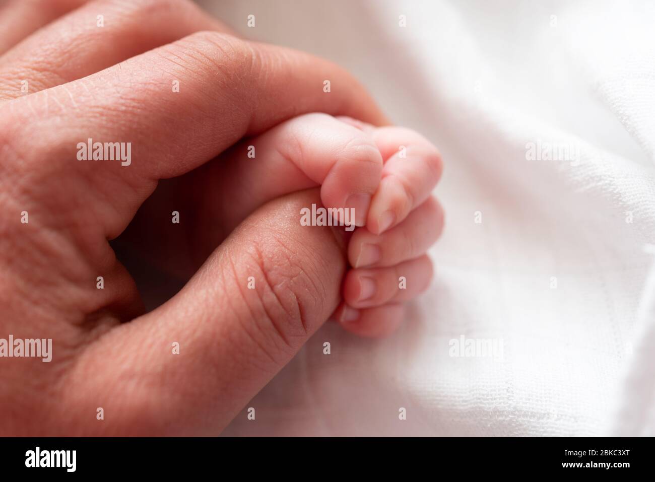 Closeup of a baby's hand holding father's finger against white background. Close-up of beautiful sleeping baby girl. Newborn baby girl, asleep on a bl Stock Photo