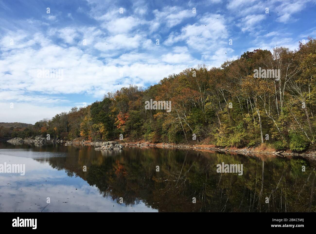 Leaves Changing Colors on a Sunny and Cloudy Autumn Day at in Great Falls, VA Stock Photo