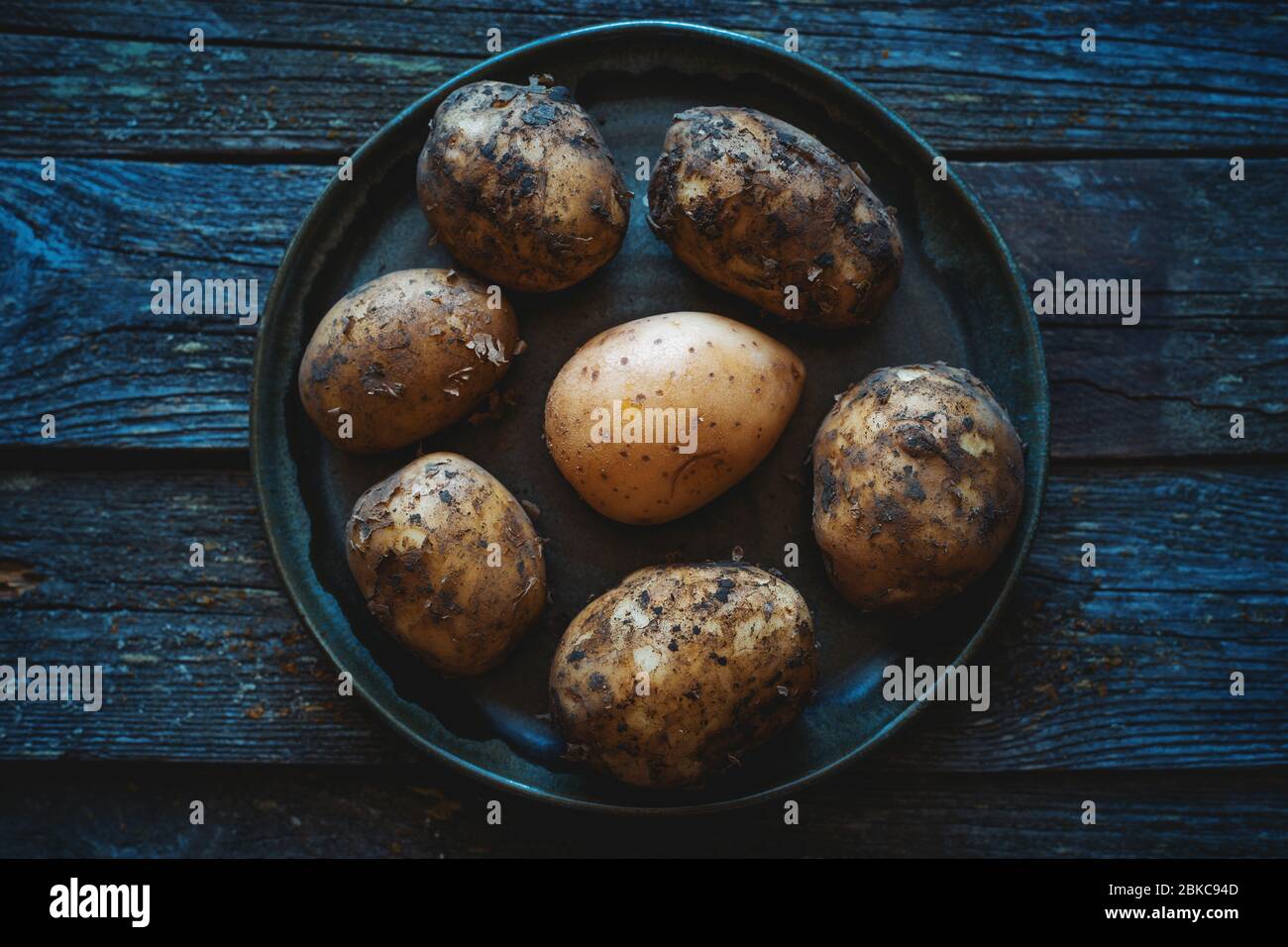 Whole Roseval potatoes stock photo. Image of uncooked - 15735456