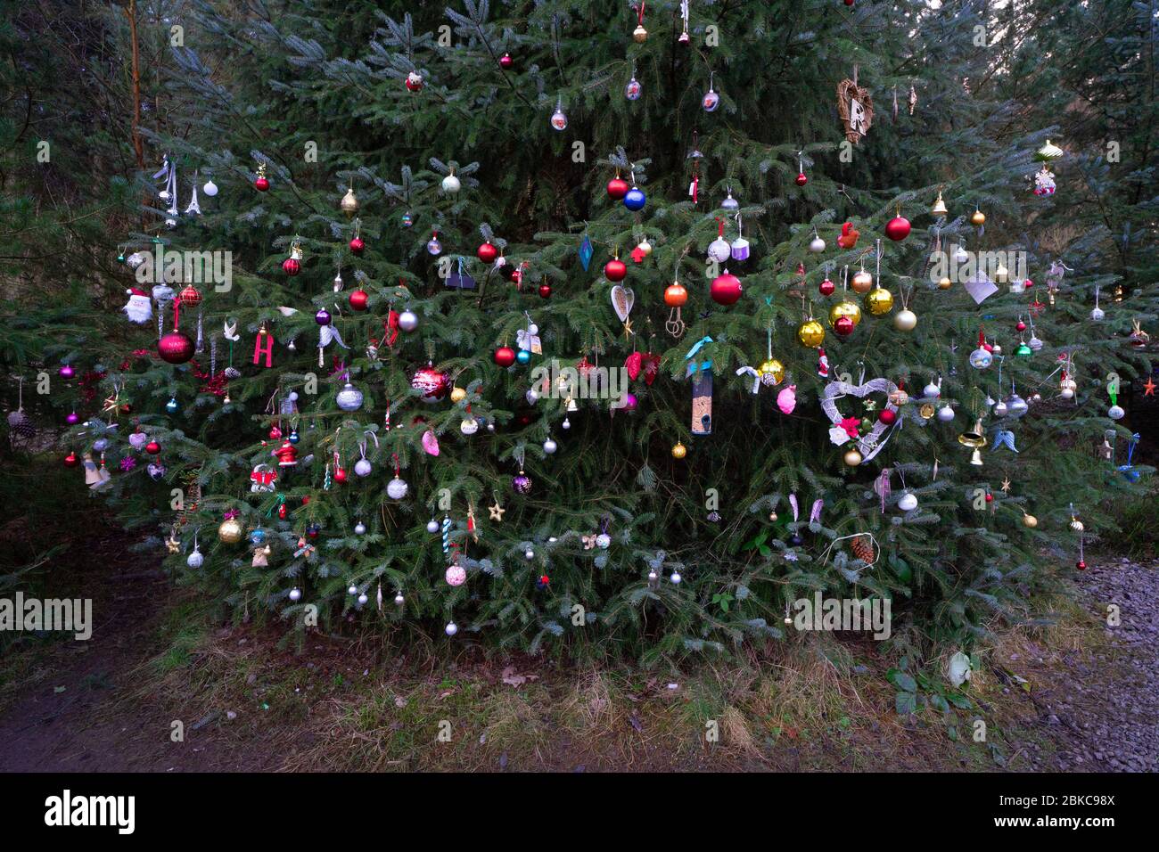 Bauble Decorated Christmas Memory Tree - Yorkshire, England, UK Stock Photo