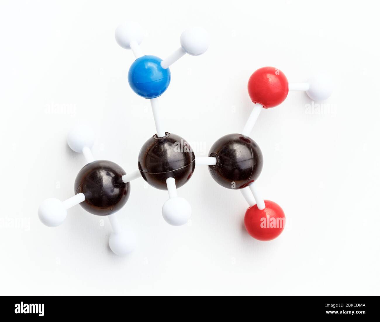Plastic ball-and-stick model of a L-Alanine or Alanine (Ala) molecule on a white background. Alanine is one of the proteinogenic amino acids. Stock Photo