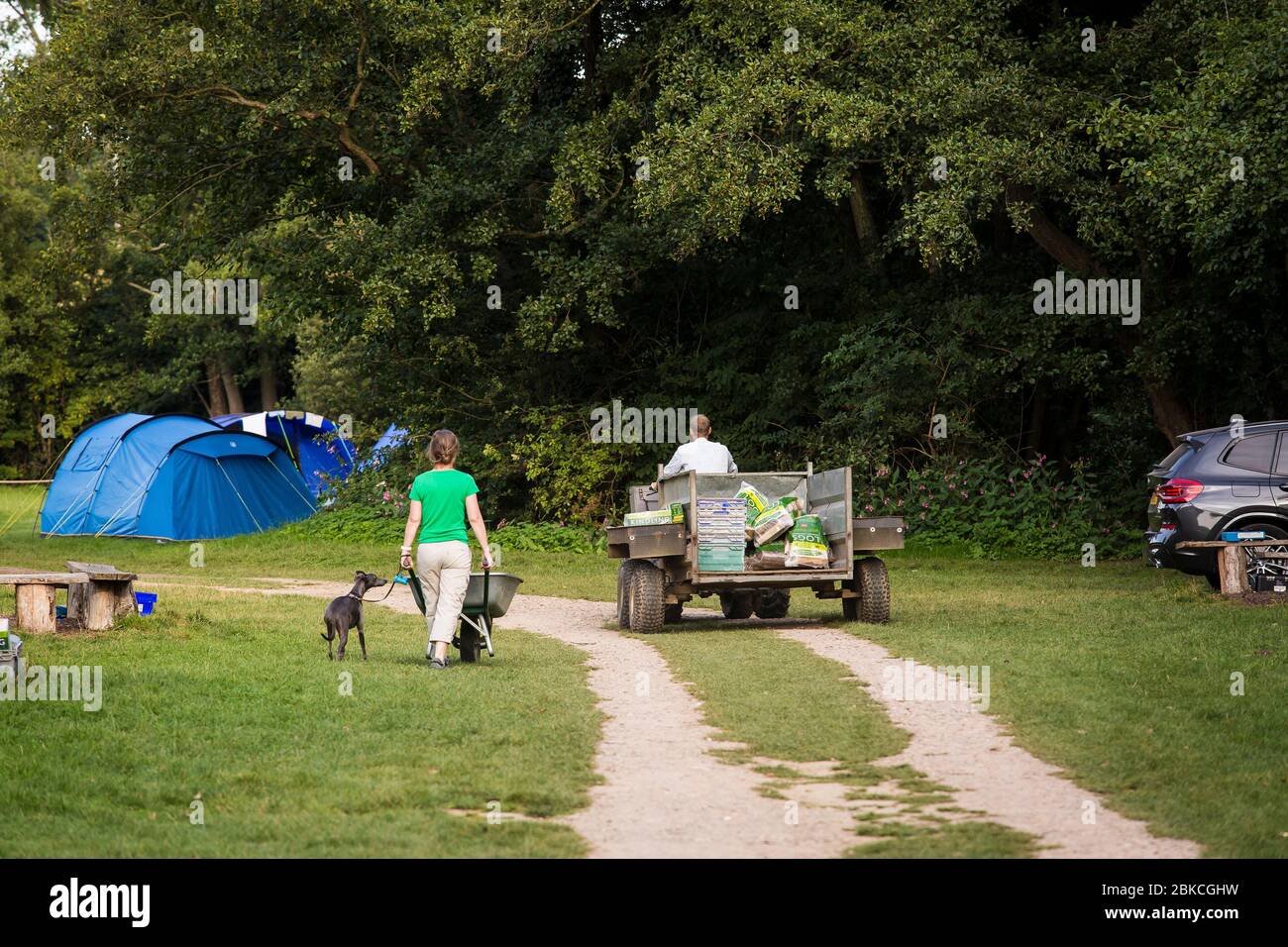 Delivering and selling logs for campfires at Wowo's, a family campsite in Sussex Stock Photo