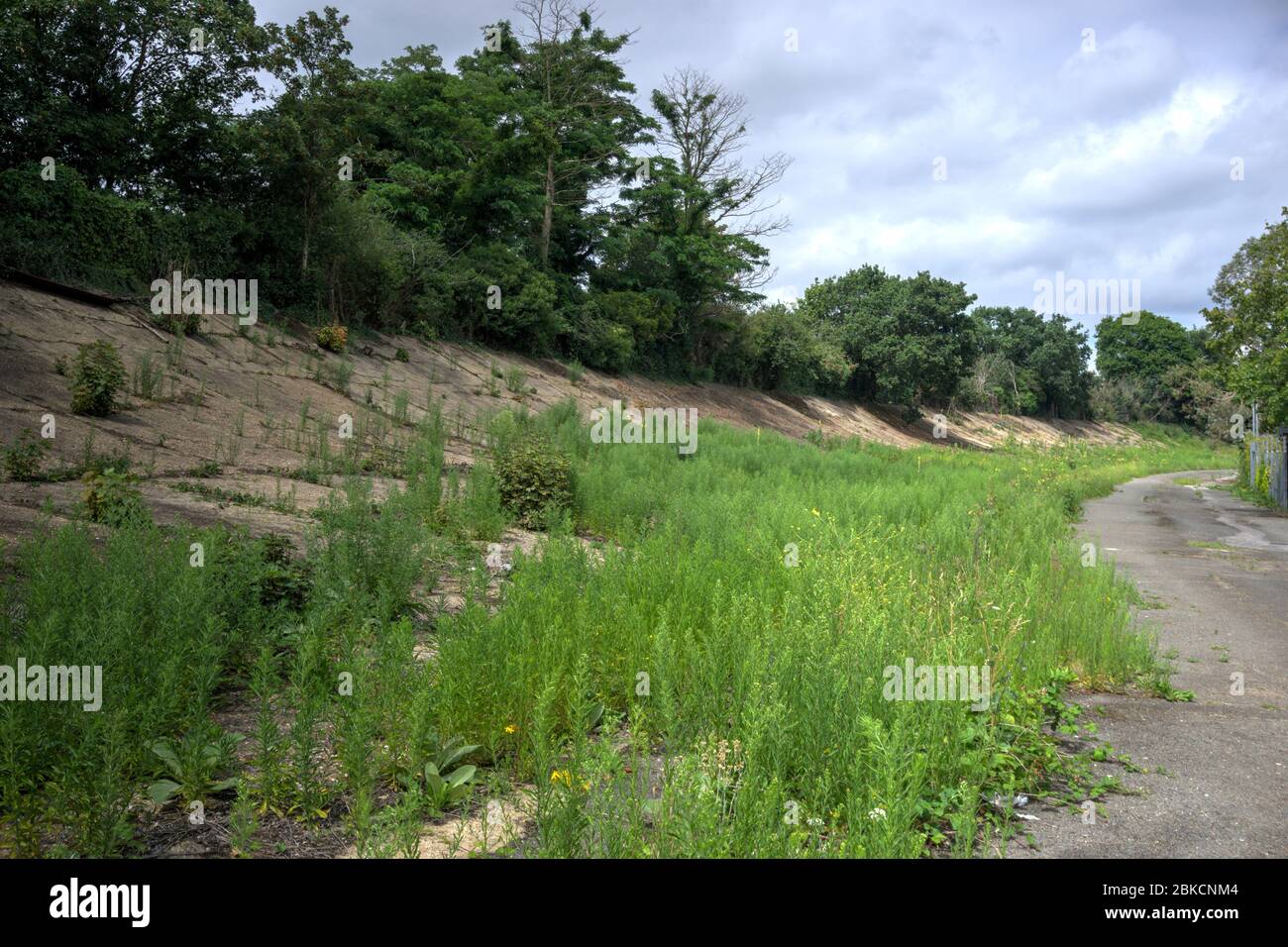 Weybridge, Surrey, United Kingdom - July 23, 2019: Dilapidated and overgrown section of former Brooklands racetrack with cracks in the pavement and we Stock Photo
