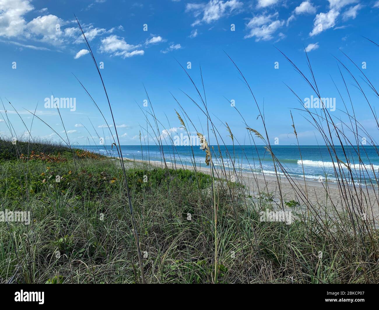 Weather on hutchinson island florida