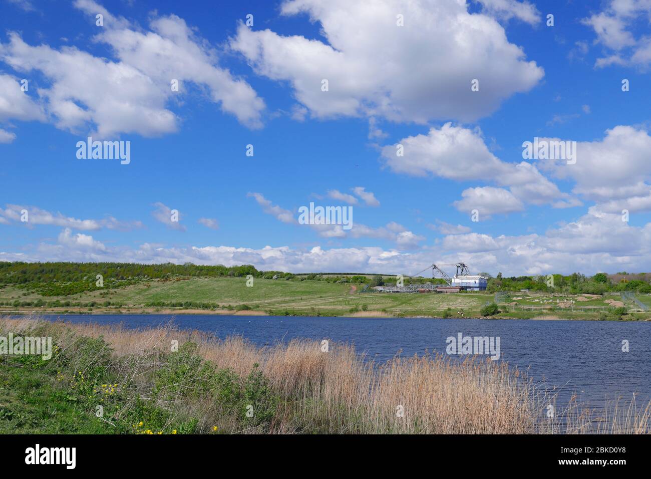 RSPB St aidan's Country Park in Swillington,Leeds. The home of 'Oddball' a preserved walking