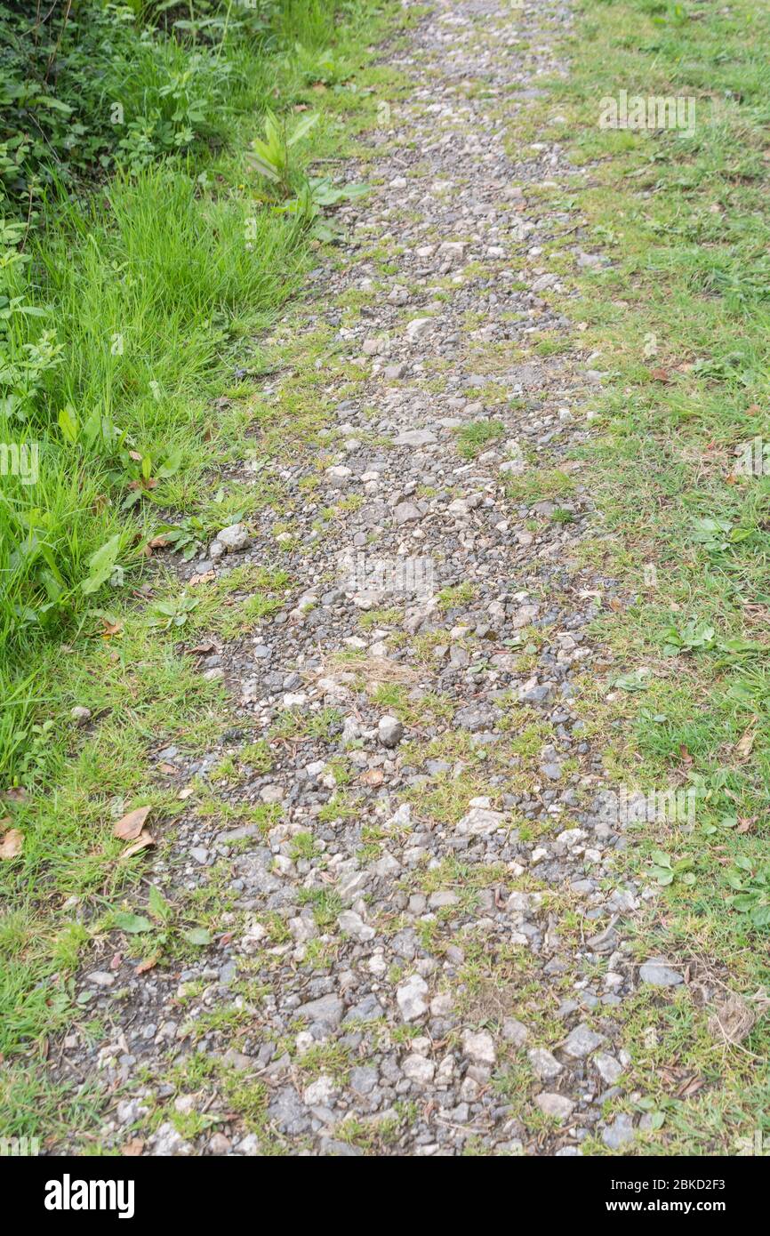 Hardcore gravel path in countryside. For 'down the garden path', country trail, on the right path, rural footpath, end of the road, where to? Stock Photo