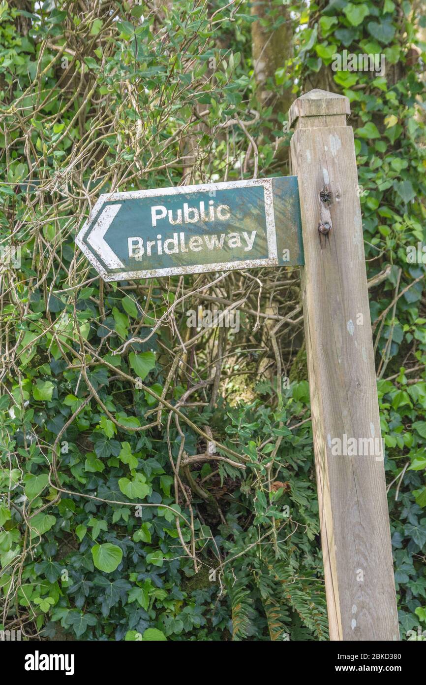 Rural country signpost marking public bridleway direction & lit by ...